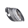 Piston Ring Set 100mm Machinery Engine Parts OEM 4181A021 4181A026 for Perkins 1003 1004 4000 3000 2000 Engine