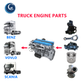OEM Standard Quality More Than 2000 Items Truck Parts for Benz